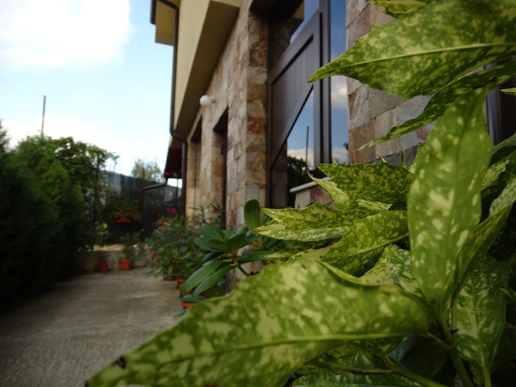 Guest House Ivel サパレヴァ・バニャ エクステリア 写真