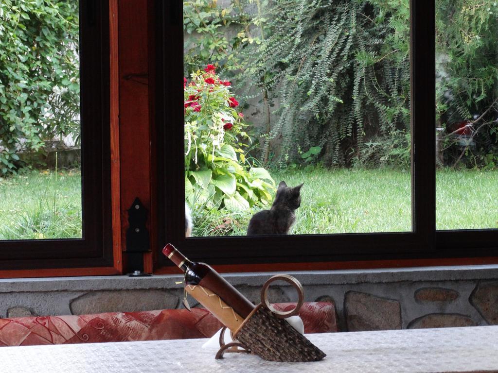 Guest House Ivel サパレヴァ・バニャ エクステリア 写真